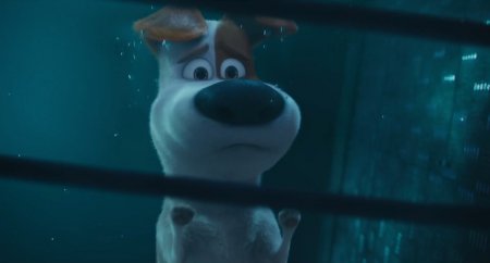 Тайная жизнь домашних животных (2016)