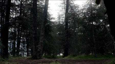 Максимум Райд (2016)