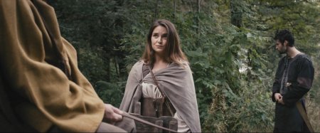 Наследие Викингов (2016)