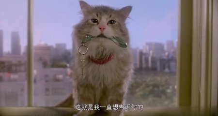 Девять жизней (2016)