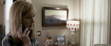 Чудо на Гудзоне (2016)