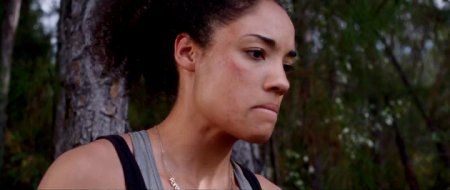 Догонялки (2014)