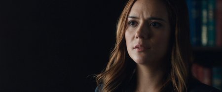 Инкарнация (2016)