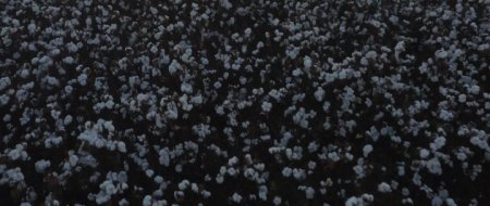 Рождение нации (2016)