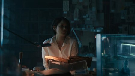 Кредо убийцы (2016)