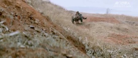 Железнодорожные тигры (2016)