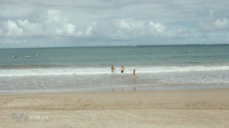 Атомная акула (2016)