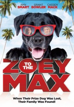 Фильм Зои и Макс (2015)