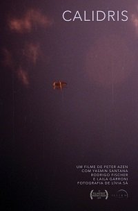 Песочник (2019)