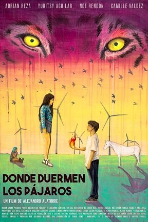 Фильм Там, где спят птицы (2022)