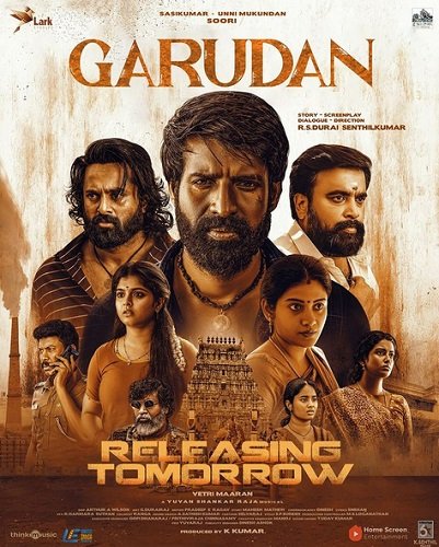 Брахманский коршун (2024)