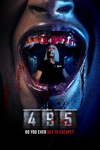 Фильм 495 (2025)