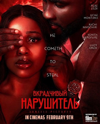 Фильм Вкрадчивый Нарушитель (2024)